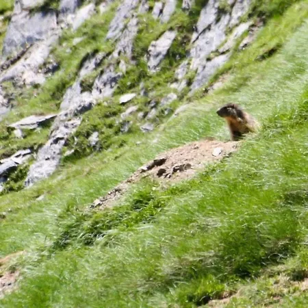 Renove Pour 4 Pers, 1 Chambre, Parking, Centre De Cauterets, Proche Telecabine - Fr-1-401-84 Cauterets